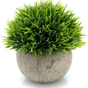 Mini Plastic Fake Green Grass Plant
