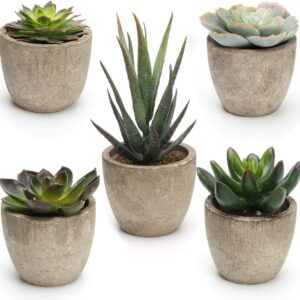 Assorted Decorative Faux Succulent Potted Fake Cactus Cacti Plants with Pots