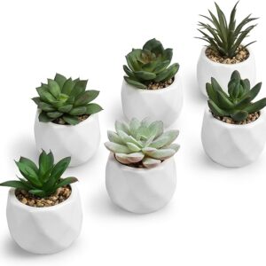 Mini Assorted Green Faux Plants